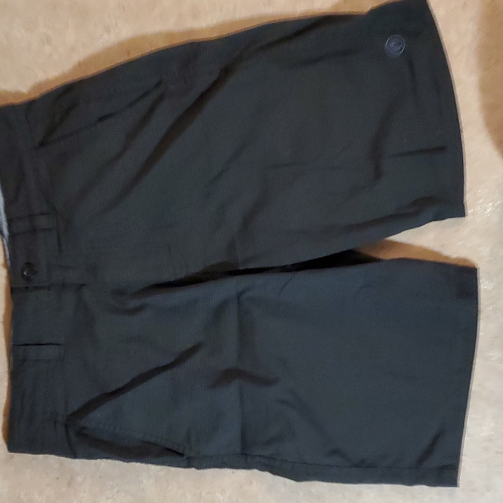 Mens Hang Ten Flat Front Shorts.  Size 30.